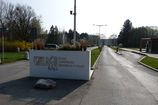 čzu 1